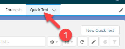 see-all-salesforce-quick-text